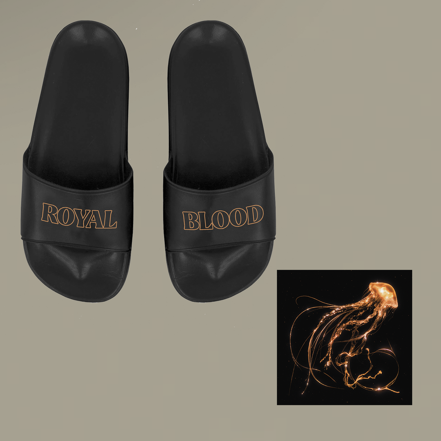 Royal Blood Sliders & Album Bundle