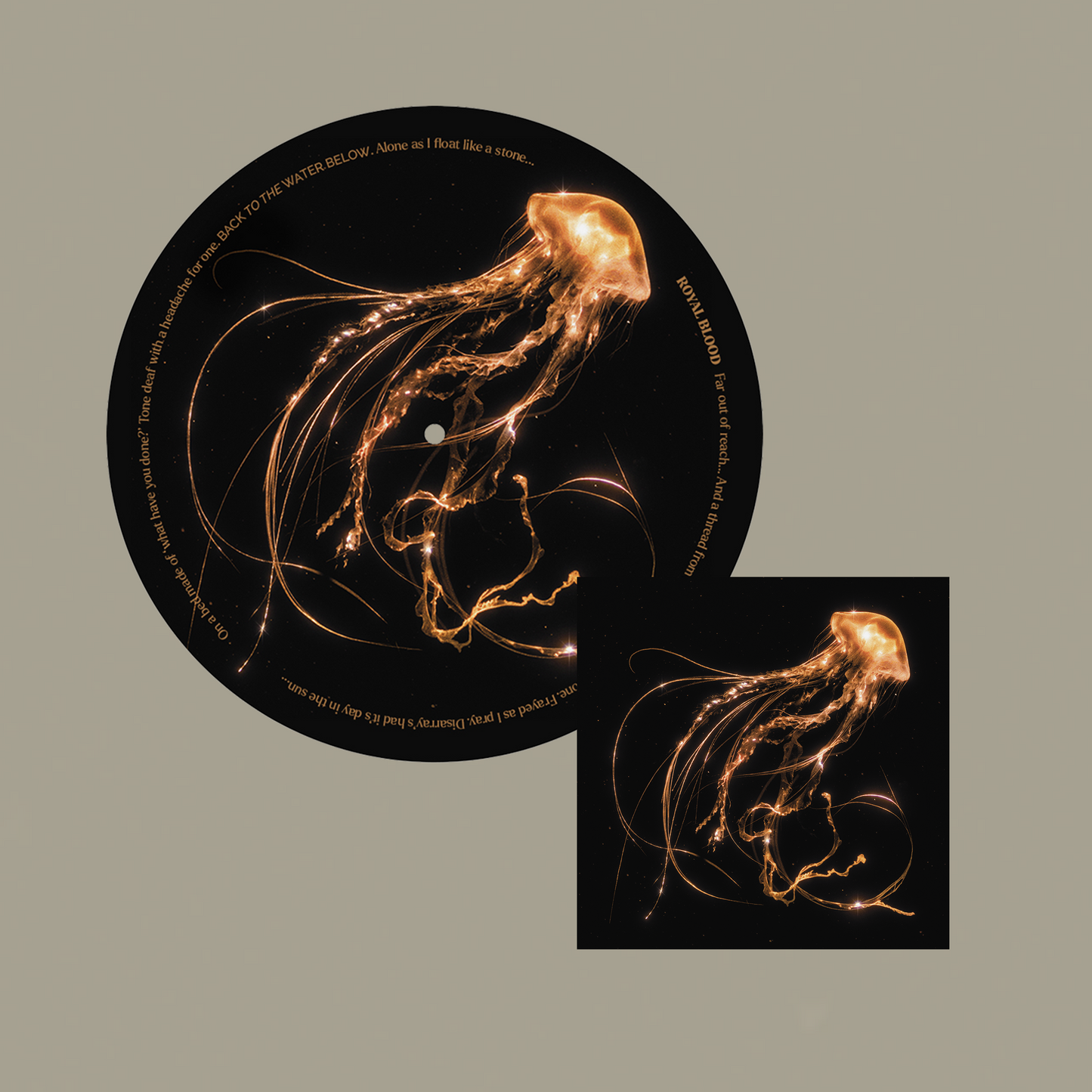 Back To The Water Below Slipmat & Album Bundle